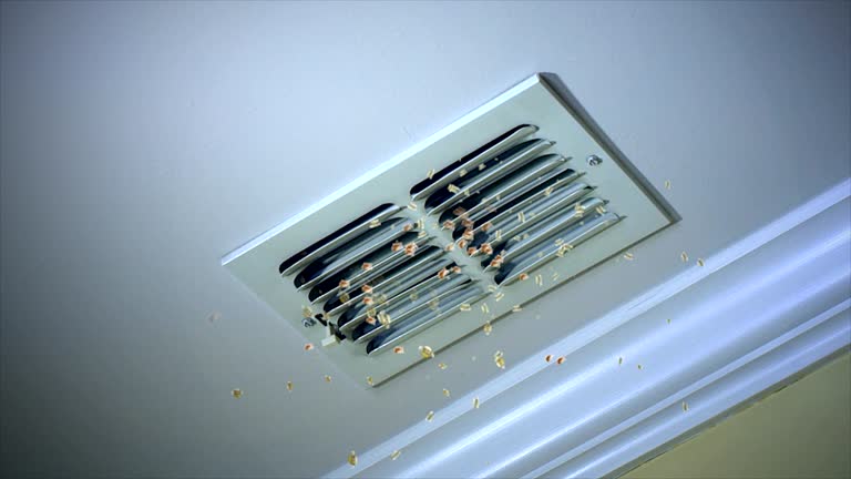 Best Ductwork Cleaning Services  in Harlingen, TX